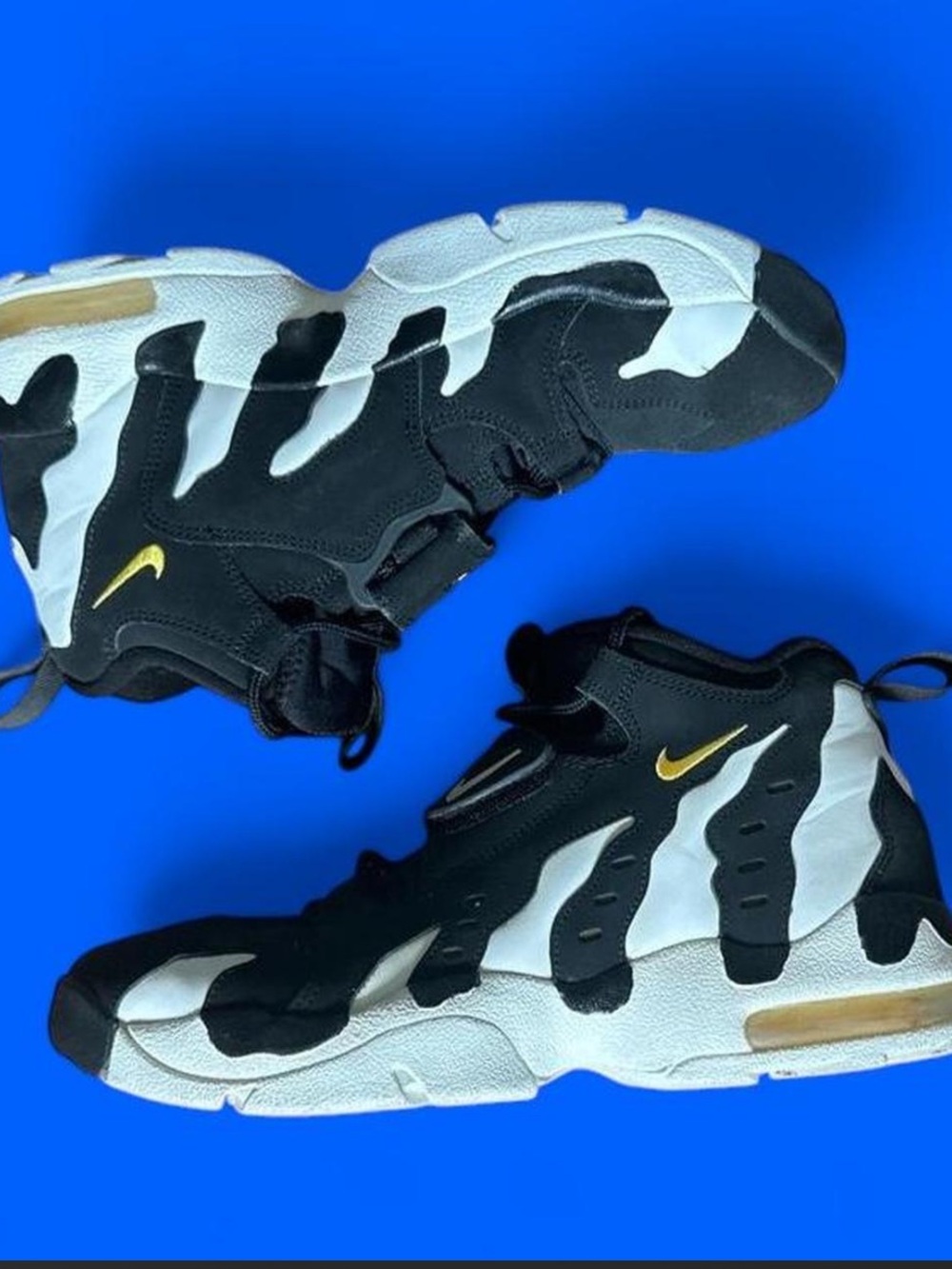 nike air DT max 96